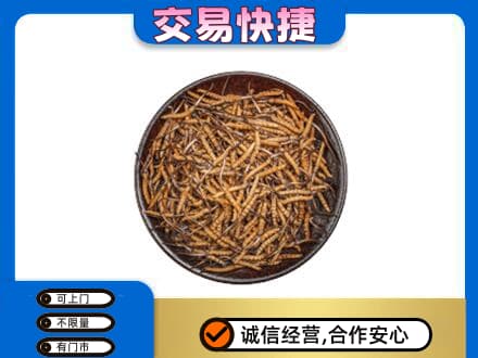 吴桥县回收散虫草